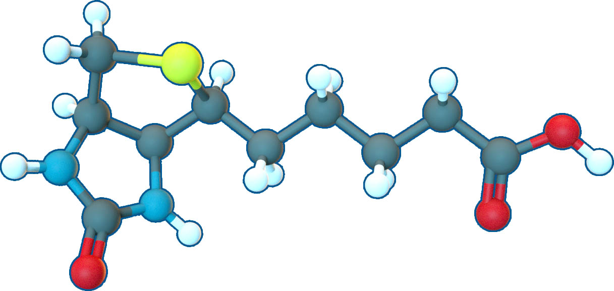 Image of D-Biotin vitamin B7 | C10H16N2O3S | Supreme Pharmatech